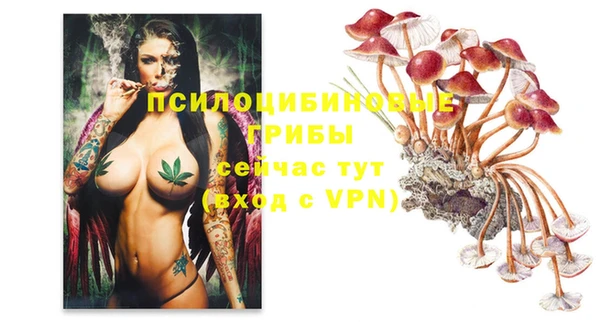 гашик Абаза