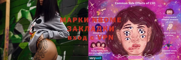 гидра Кущёвская