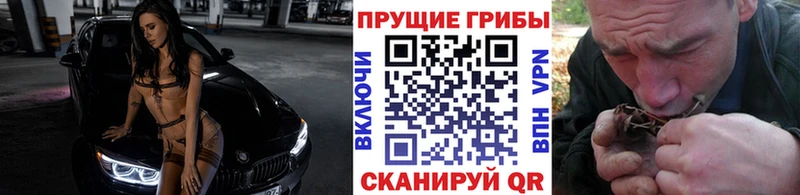 Псилоцибиновые грибы Psilocybe  Знаменск 