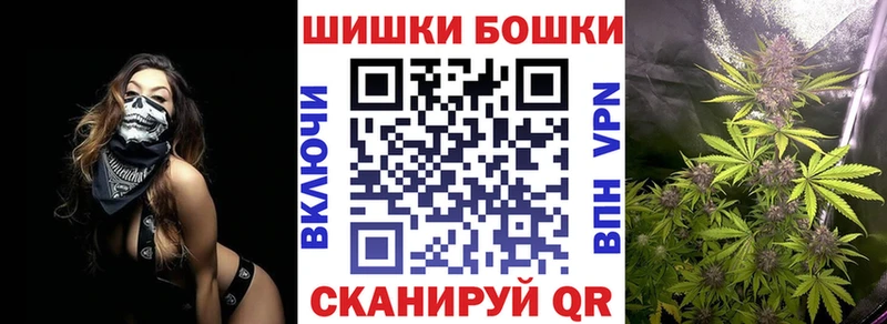 Бошки Шишки план  Знаменск 